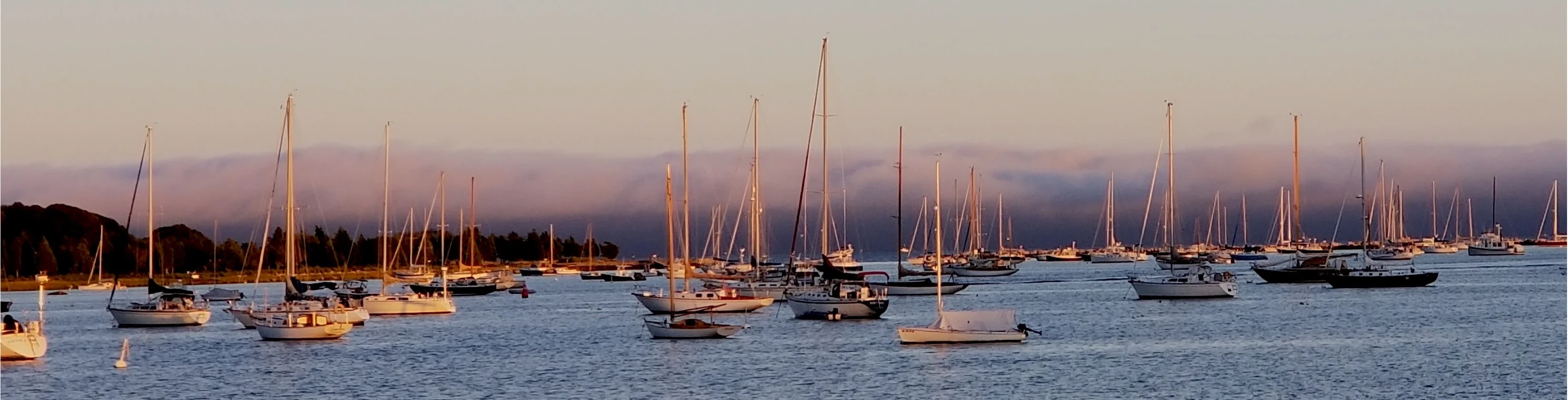 Header image for Beacon Hill Village showing the beautiful Boston skyline
